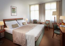 Clarion Hotel Prague Old Town 5