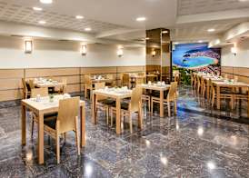 Sercotel Codina 5