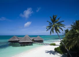 Medhufushi Island Resort 2