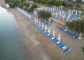Maxeria Blue Didyma 4