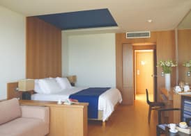 Atlantica Kalliston Resort - Adults Only 4