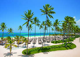 Dreams Royal Beach Punta Cana - All Inclusive 5