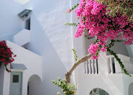 Lefkothea Hotel 3