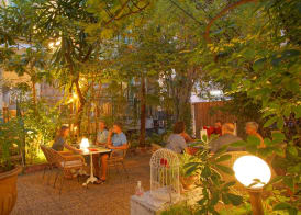 Le Windsor, Jungle Art Hotel 4