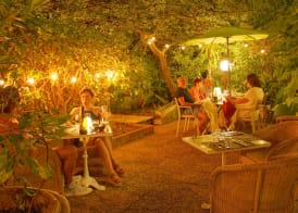 Le Windsor, Jungle Art Hotel 2