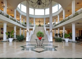 Grand Palladium Lady Hamilton Resort And Spa All-Inclusive 3