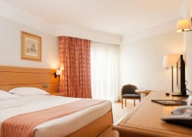 Hotel Real Palacio 2