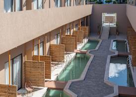 Golden Bee Lifestyle 5