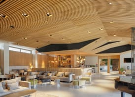 Iberostar Selection Llaut Palma Adults-Only 5