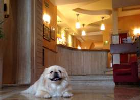 Hotel Posta 2