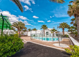 Apartamentos LIVVO Las Gaviotas 4