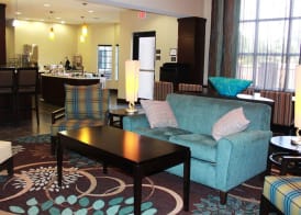 Holiday Inn Express & Suites HOUSTON IAH - BELTWAY 8 by IHG 2