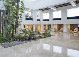 Playacar Palace - All Inclusive 2