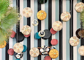 tent Mojito Suites 4