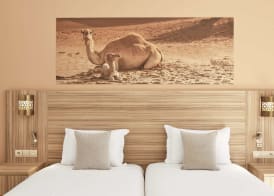 Iberostar Waves Club Palmeraie Marrakech All Inclusive 2