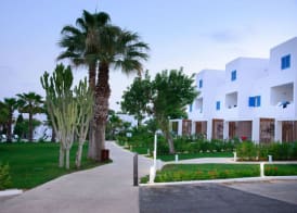 Cala Llenya Resort Ibiza 2