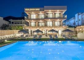 Golden Bee Lifestyle 3