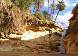 Combiné Djerba et Désert 5