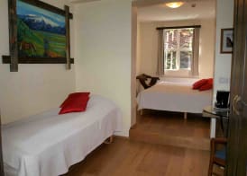 Hotel Viking 5