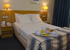 VIP Executive Zurique Hotel 5