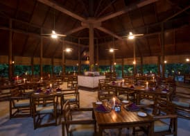 Filitheyo Island Resort 4