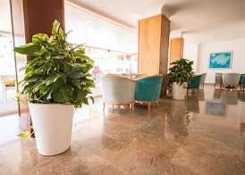 Hotel Amic Miraflores 5