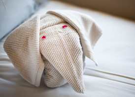 Twin Thorns Guesthouse 5