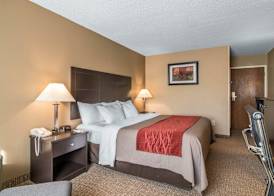 Comfort Inn Saugerties 5
