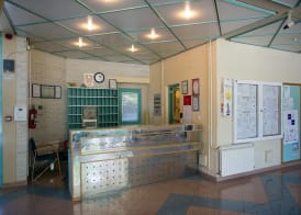 Hostel Spinut 2