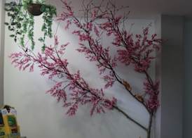 Mirandesa Garden 2