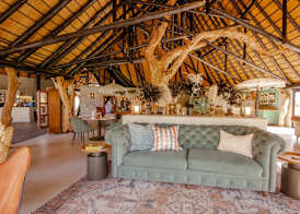 Okapuka Safari Lodge 3