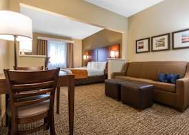 Comfort Suites Rochester Henrietta University Area 4