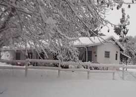 Sycamore Avenue Treehouses & Cottages Accommodation 2