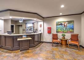 La Quinta by Wyndham Marble Falls 3