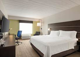 Holiday Inn Express & Suites FT MYERS EAST- THE FORUM by IHG 4