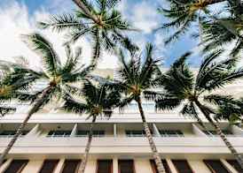 Hilton Vacation Club The Modern Honolulu 5