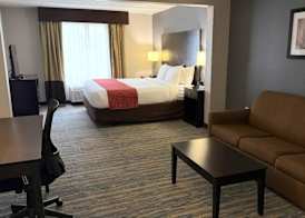 Comfort Inn & Suites Tampa North I-75 5