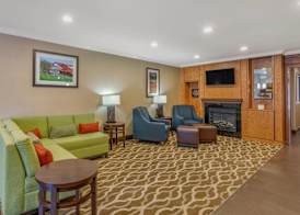 Comfort Inn & Suites North Dallas-Addison 3