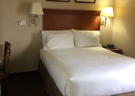 Candlewood Suites JACKSONVILLE by IHG 4