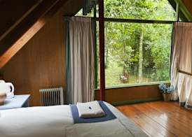 Rockwood Karkloof Forest Lodge & Mountain Cabin 5