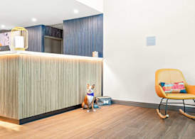 Spark By Hilton Exton 5