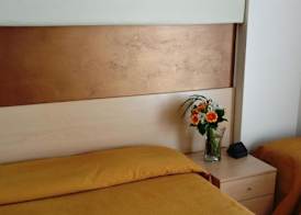 Hotel Rosanna 3 Stelle Superior 5
