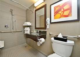 Holiday Inn NYC - LOWER EAST SIDE by IHG 5