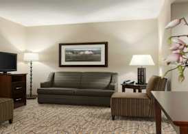Holiday Inn & Suites WILLIAMSBURG-HISTORIC GATEWAY by IHG 3