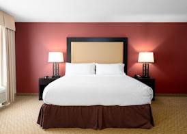Holiday Inn TEMPLE-BELTON by IHG 4