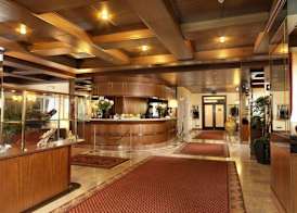 Hotel Al Pino Verde 2