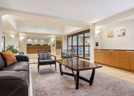 Quality Inn & Suites NRG Park - Medical Center 3