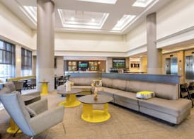 SpringHill Suites by Marriott Miami Airport South Blue Lagoon Area 3
