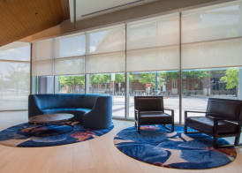 SpringHill Suites by Marriott Charlotte City Center 4
