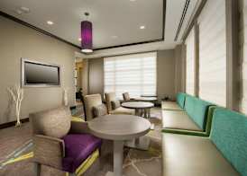 Hilton Garden Inn College Station 5